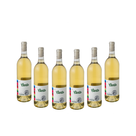 Canto 2022 (6 piezas) 750ml c/u