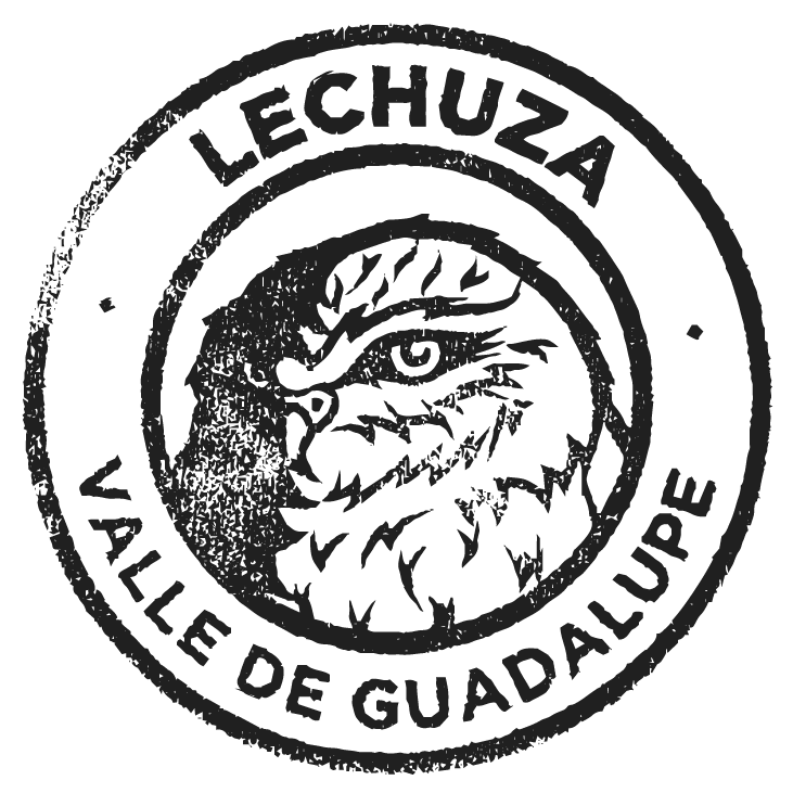 Alas 2024 (6 piezas) 750ml c/u Etiqueta Vino Experimental