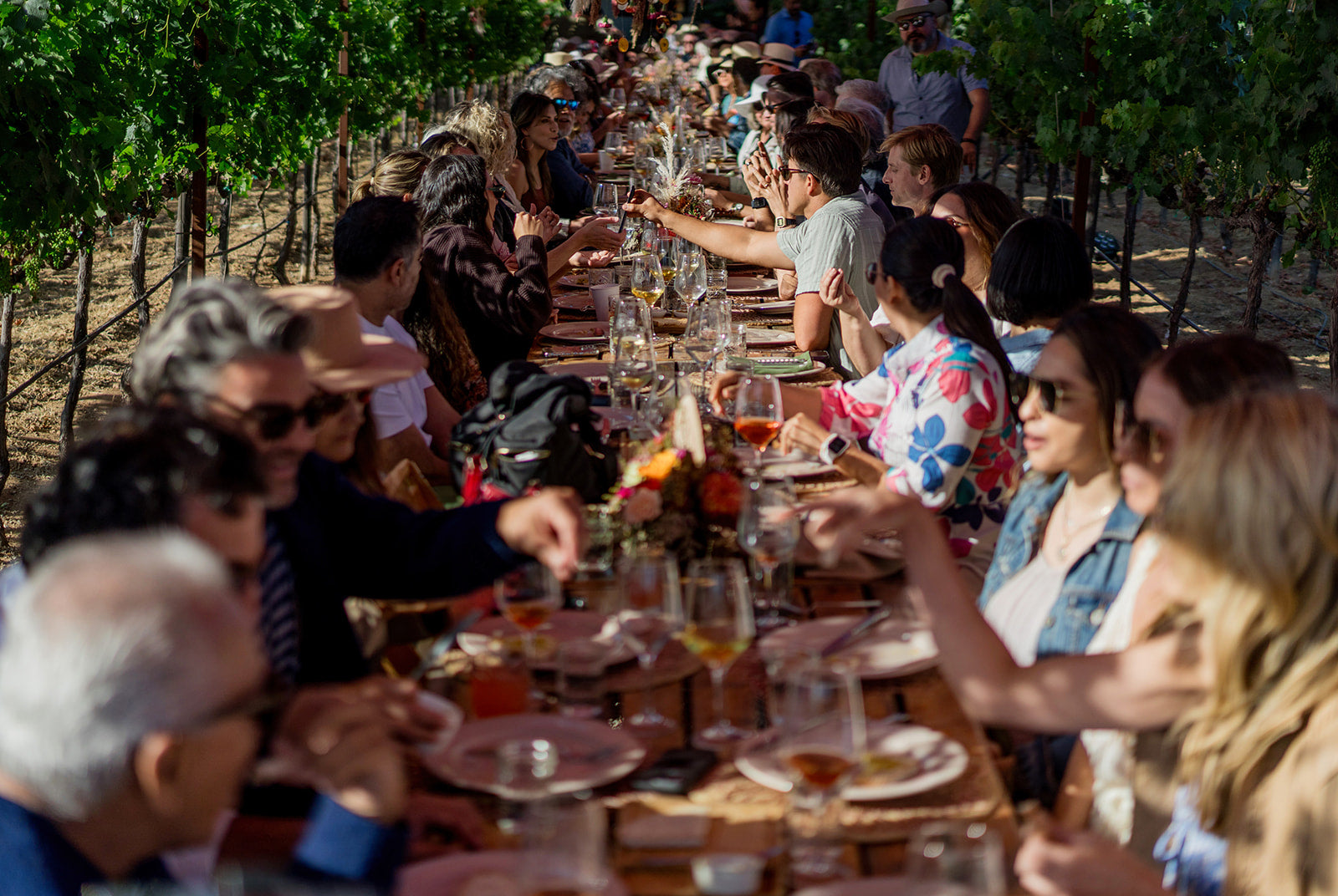 Alas 2024 (6 piezas) 750ml c/u Etiqueta Vino Experimental