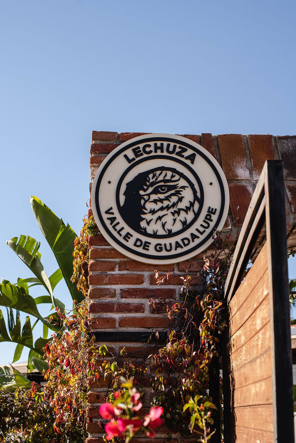 DSC06202.jpg__PID:888fdbae-8754-4c1e-8a07-a5dce3c0bc21