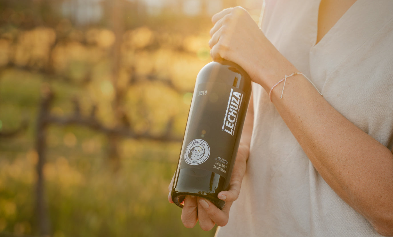 Merlot 2021 (6 piezas) 750ml c/u